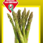 Semillas de Esparragos