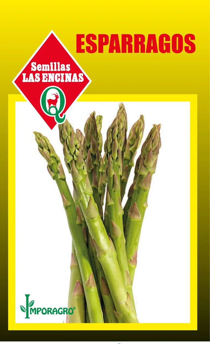 Semillas de Esparragos