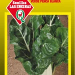 Semillas de Acelga Verde Penca Blanca - Sobre para Huerto
