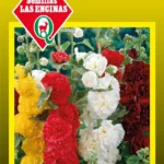 Semillas de Alcea Rosea - Sobre para Huerto