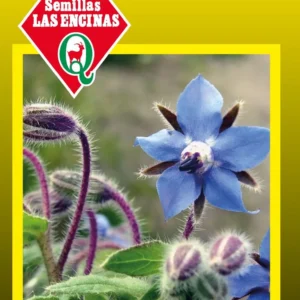Semillas de Borraja