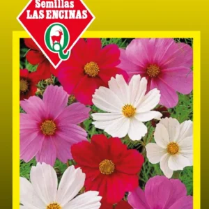 Semillas de Cosmos Sensacion