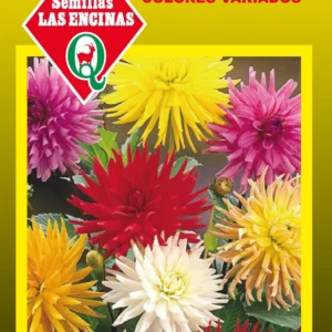 Semillas de Dalia Cactus - Sobre para Huerto - Calidad Tradicional para Huerto en Chile