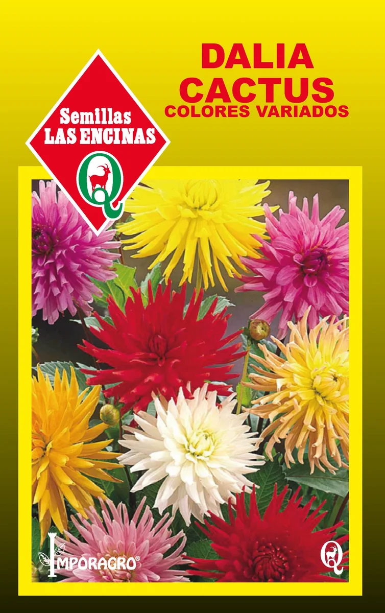 Semillas de Dalia Cactus