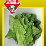 Semillas de Lechuga Costina - Sobre para Huerto