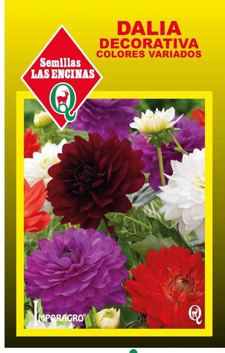Semillas de Dalia Decorativa