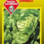Semillas de Lechuga Española - Sobre para Huerto