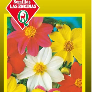 Semillas de Dalia Enana Colores Variados - Sobre para Huerto - Calidad Tradicional para Huerto en Chile