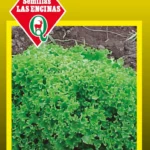 Semillas de Lechuga Lollo Rubia - Sobre para Huerto