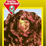 Semillas de Lechuga Morada
