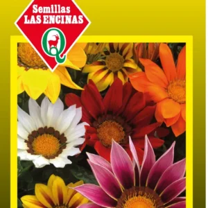 Semillas de Gazania Colores Variados - Sobre para Huerto - Calidad Tradicional para Huerto en Chile