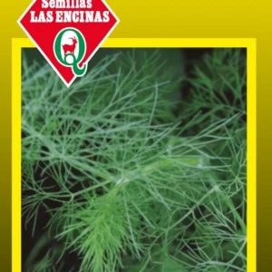 Semillas de Eneldo
