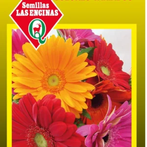 Semillas de Gerbera Colores Variados - Sobre para Huerto - Calidad Tradicional para Huerto en Chile