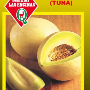 Semillas de Melon Honey Dew (Tuna) - Sobre para Huerto - Calidad Tradicional para Huerto en Chile