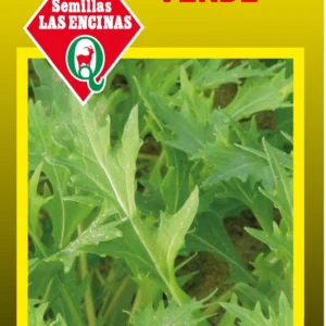 Semillas de Mizuna Verde - Sobre para Huerto - Calidad Tradicional para Huerto en Chile