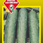 Semillas de Pepino Marketmore 76 - Sobre para Huerto