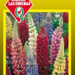Semillas de Lupinus Colores Variados - Sobre para Huerto
