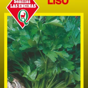 Semillas de Perejil Liso Comun - Sobre para Huerto - Calidad Tradicional para Huerto en Chile