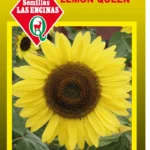 Semillas de Maravilla Lemon Queen - Sobre para Huerto