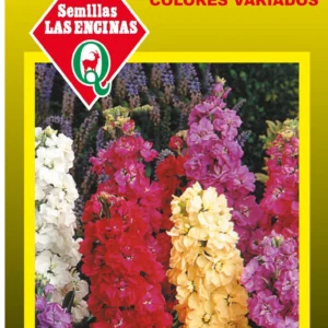 Semillas de Aleli Mammouth Mezcla Extra
