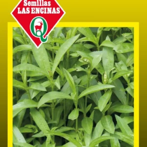 Semillas de Estragon