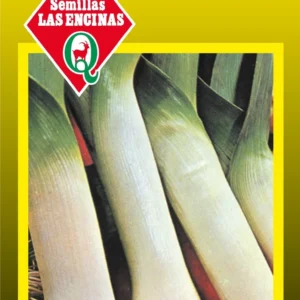Semillas de Puerro - Sobre para Huerto - Calidad Tradicional para Huerto en Chile