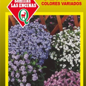 Semillas de No Me Olvides Colores Variados - Sobre para Huerto - Calidad Tradicional para Huerto en Chile