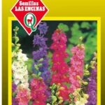 Semillas de Pajarito Colores Variados - Sobre para Huerto