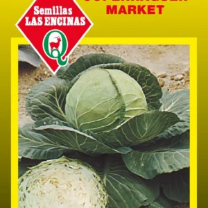 Semillas de Repollo Copenhaguen Market - Sobre para Huerto - Calidad Tradicional para Huerto en Chile