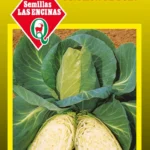 Semillas de Repollo Corazon de Buey - Sobre para Huerto