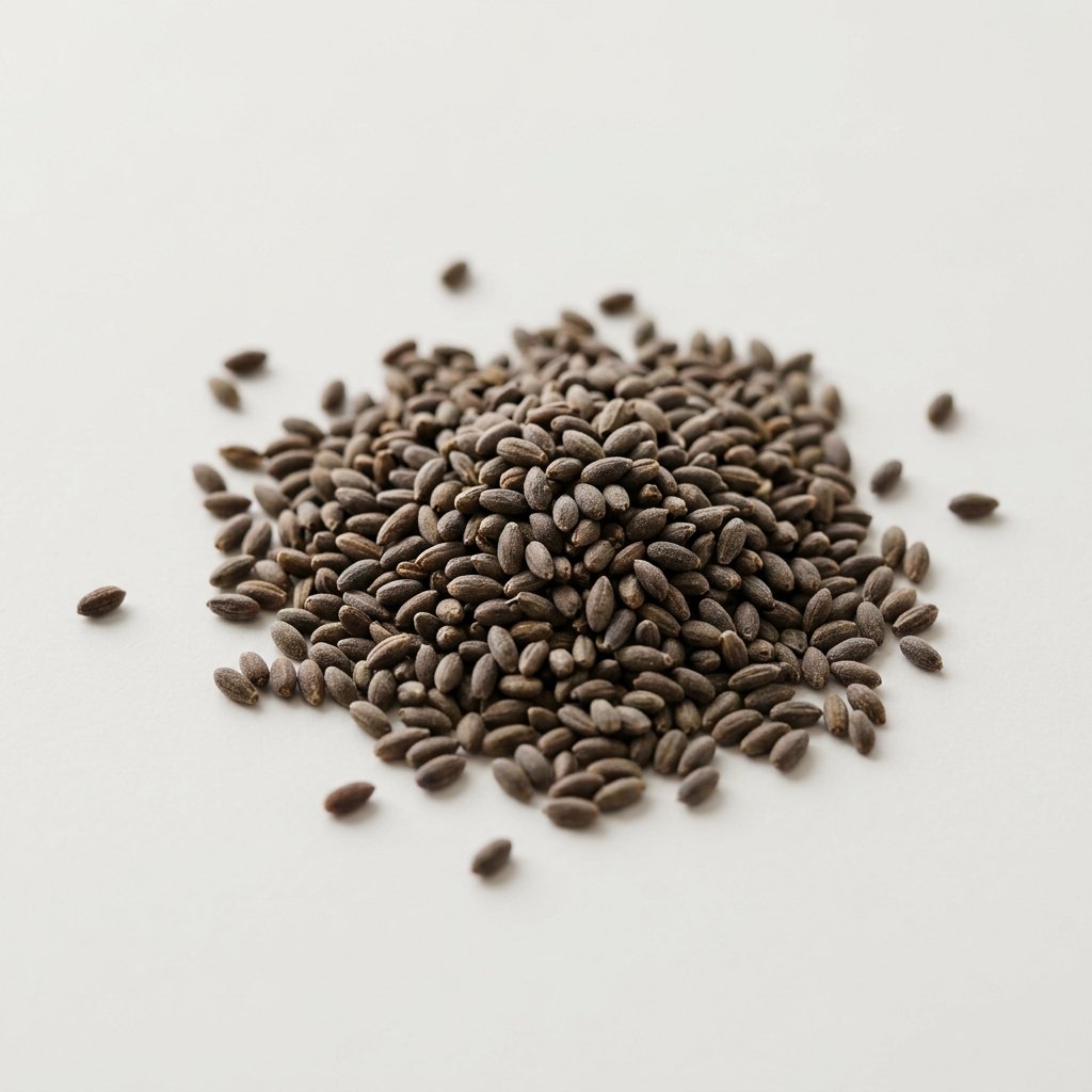 Semillas de Lavanda - Imagen 2