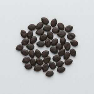 Semillas de Albahaca Hoja Ancha