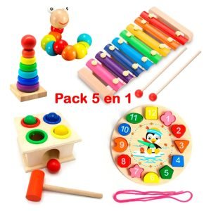 Pack 5 Juguetes Didácticos De Madera Para Niños Montessori - Modelo E - Juguete Didáctico de Madera en Chile